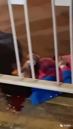 武岡一女子翻越馬路護欄時被撞,頭部大出血!