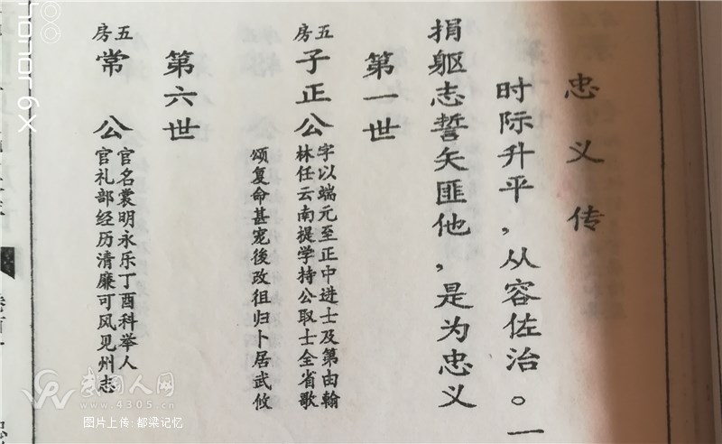 家谱佐证的悲剧
