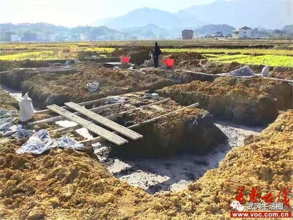 武岡灣頭橋一村民占地修房被強制拆除