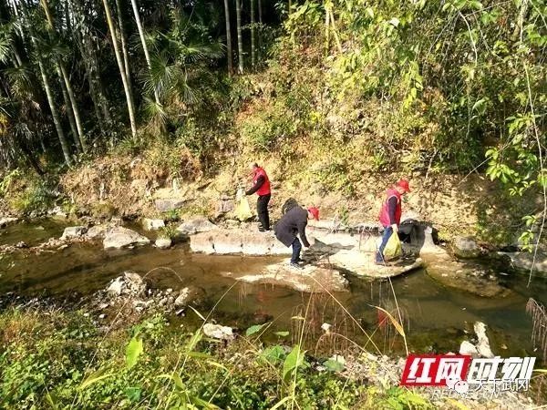武岡有一群人在搞農(nóng)村環(huán)境衛(wèi)生整治活動(dòng)