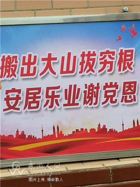 善星小区春来早