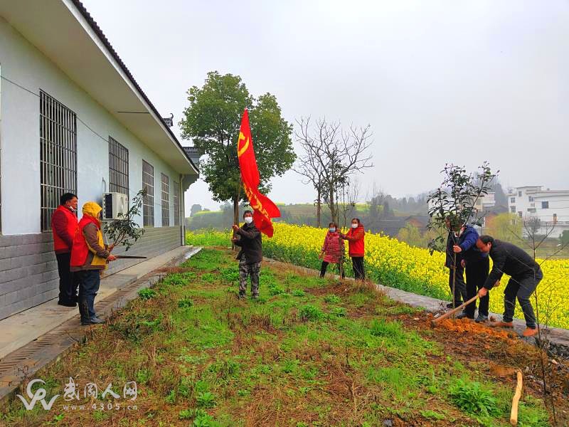 灣頭橋鎮(zhèn)：疫情防控不放松 植樹造林添新顏