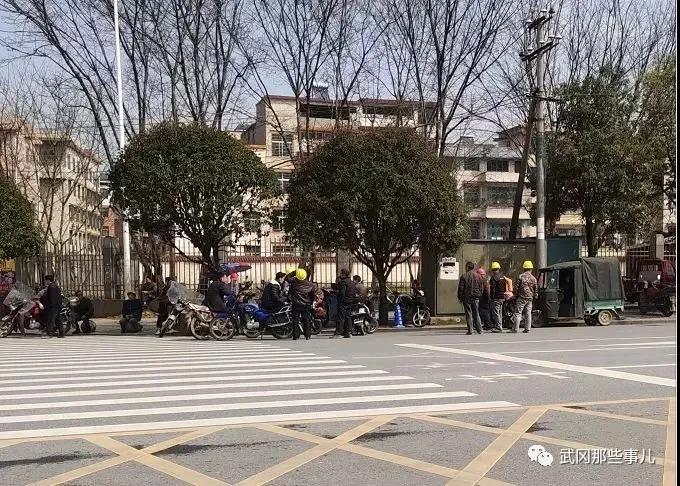疫情期间,武冈这些马路上却“扎堆”站着一群人