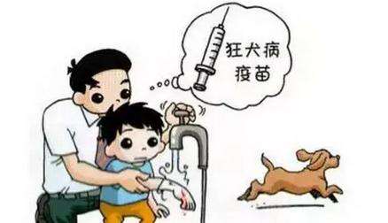 緊急提示:武岡狂犬疫苗斷貨,動(dòng)物咬傷門診接診服務(wù)已暫停!