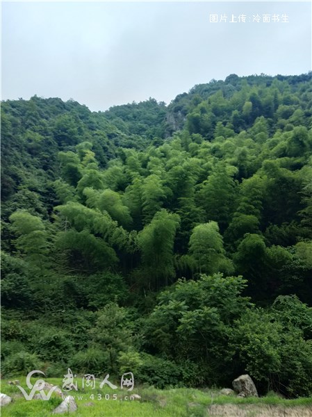 红雨伞下的记忆（散文）