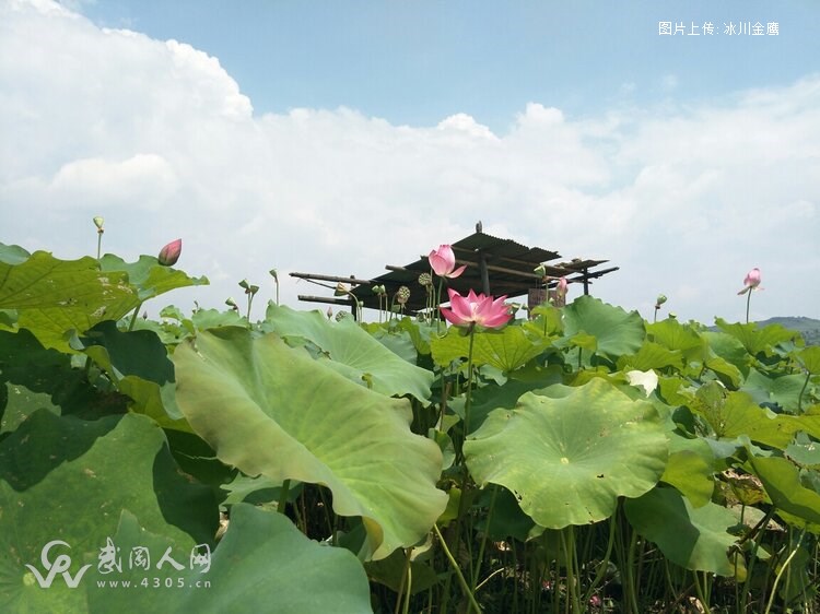 用流年掠过第一道秋光