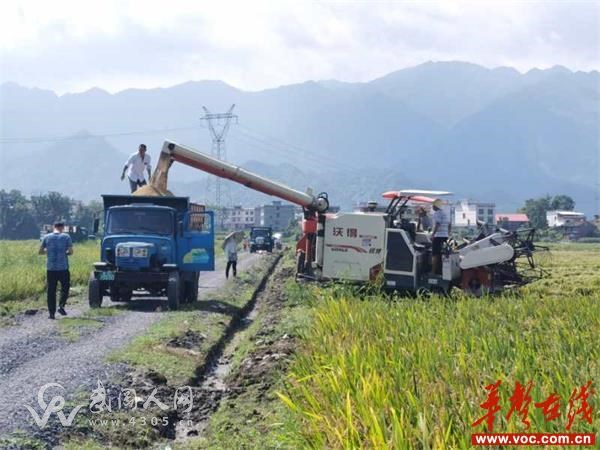 武岡:抓進(jìn)度 跨區(qū)農(nóng)機(jī)作業(yè) 按時(shí)完成雙搶任務(wù)