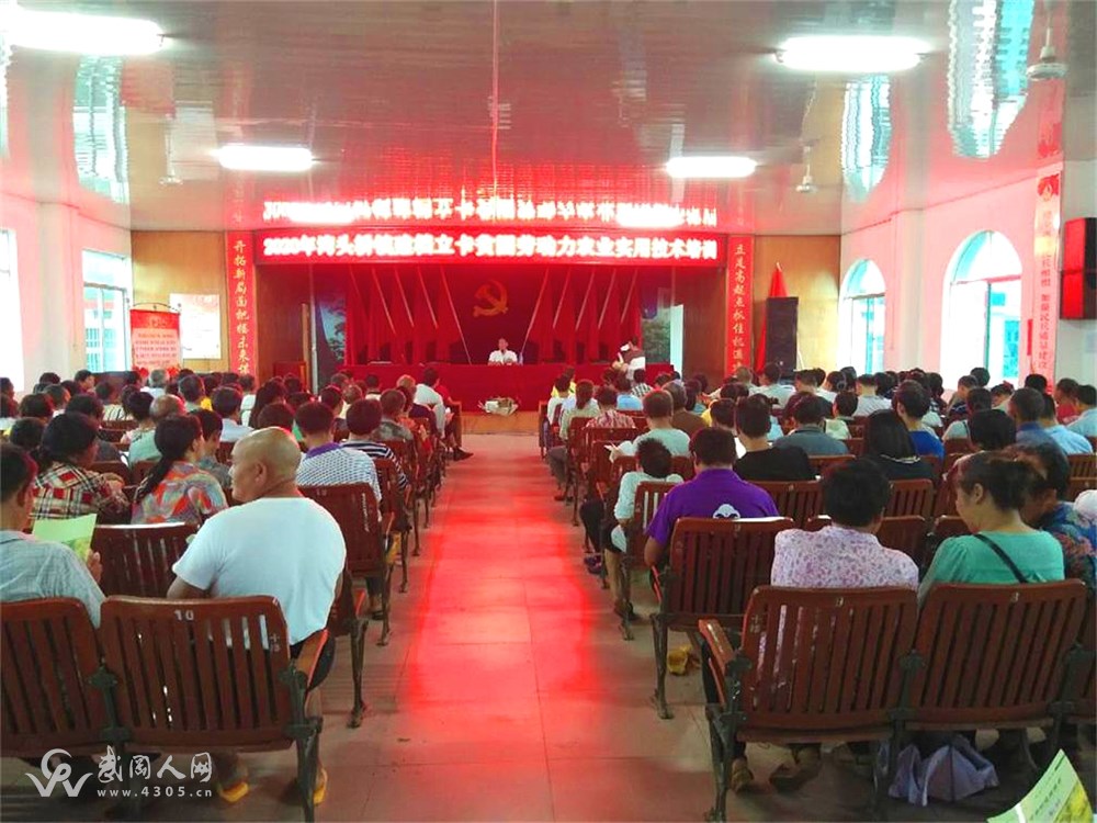 灣頭橋鎮(zhèn):建檔立卡貧困戶實(shí)用技術(shù)培訓(xùn) 助推脫貧攻堅(jiān)