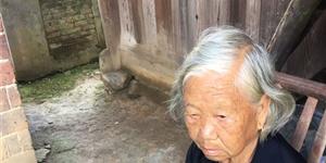 记一个优秀接生员阳翠兰的动人事迹