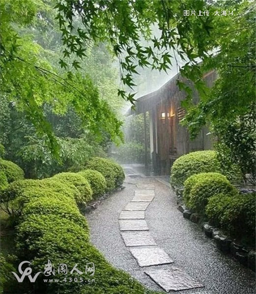 风情万千的雨