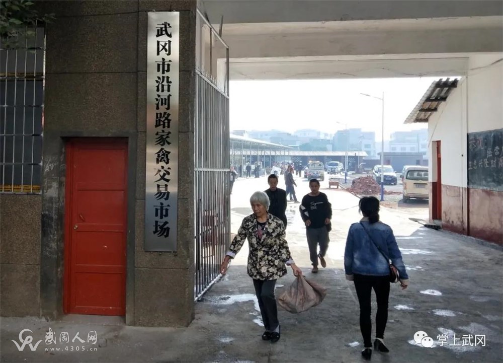 武冈市沿河路家禽交易市场已开业！