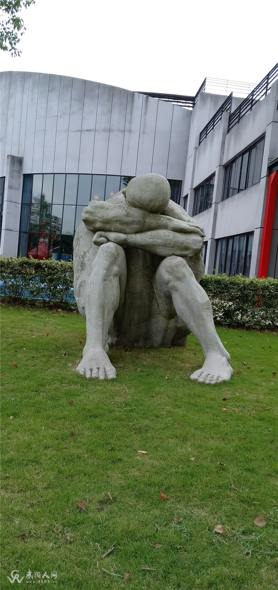 一帘风雨惹闲情