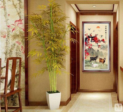 风水是人们对居住环境进行选择和处理的一种学问