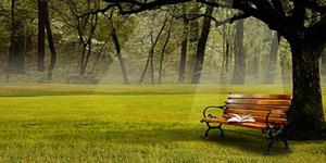 小说：舒三疤子（7）