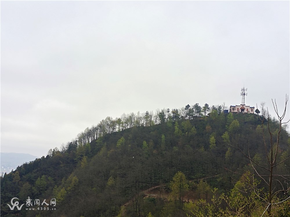 南山南，南山北