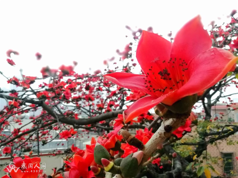 一个老师妈妈的女神节