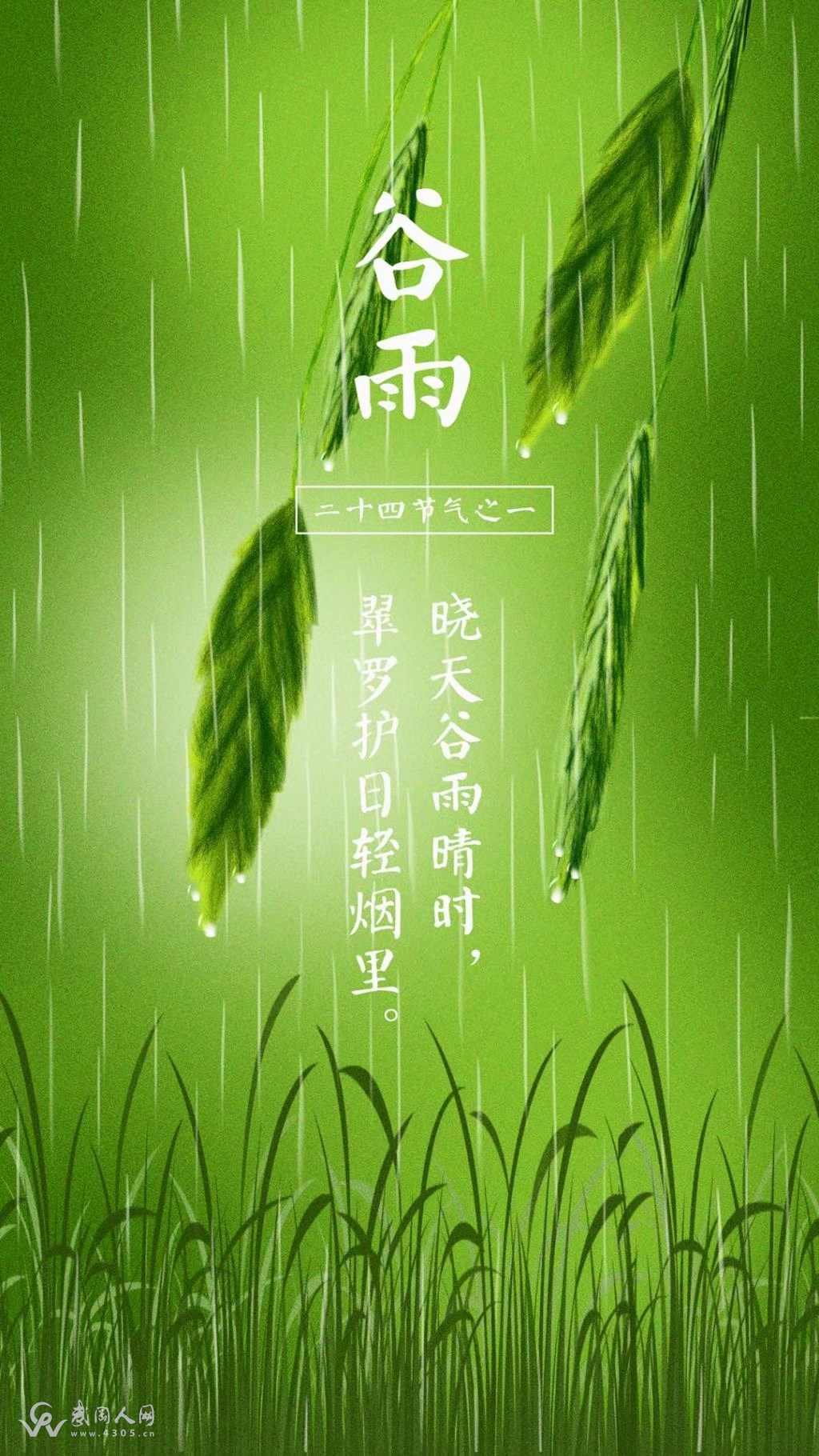 谷雨