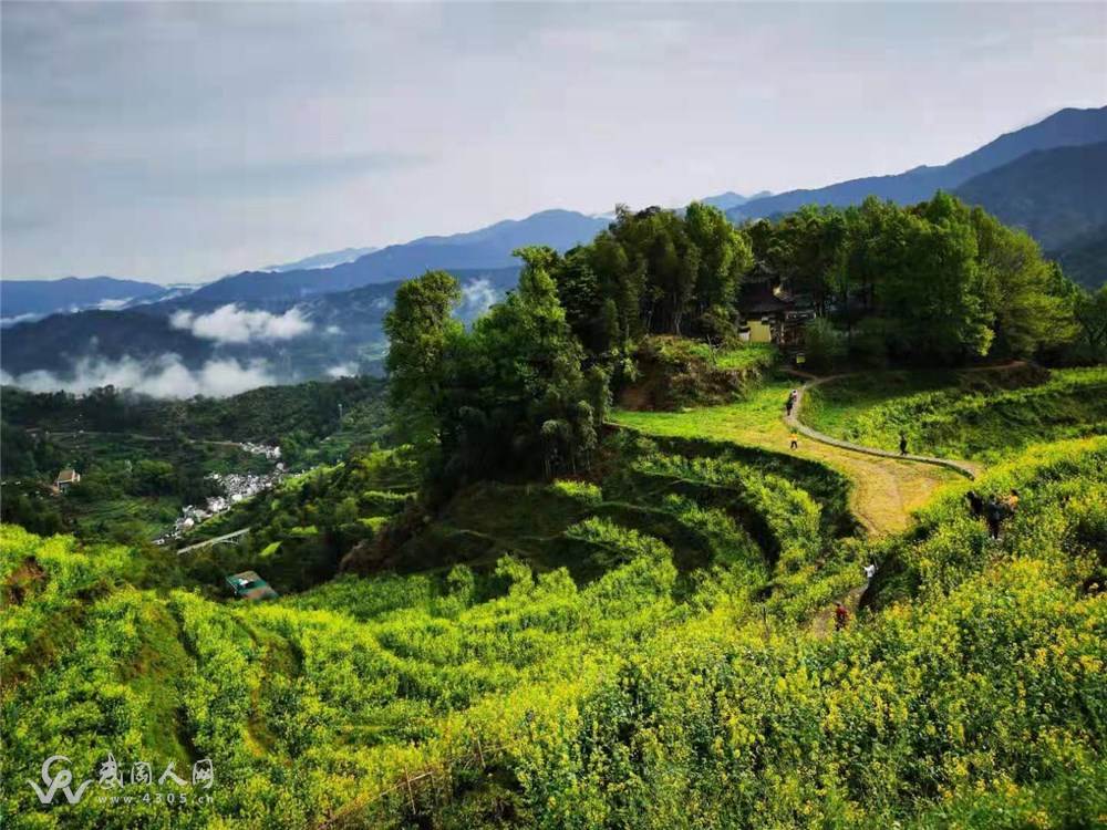 山中淋雨的天使