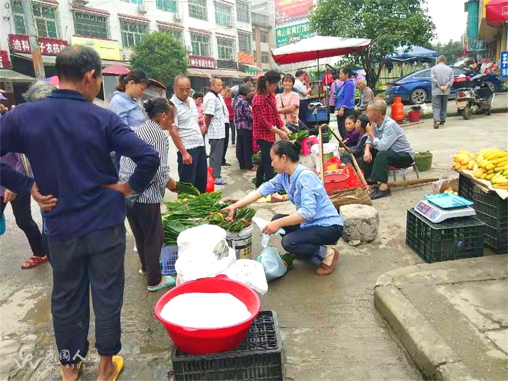 端午来临 湾头桥镇集市 粽叶俏销