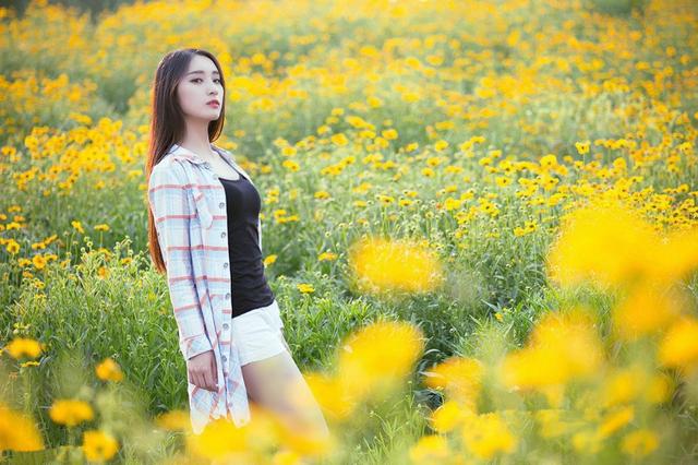 花中隐士：野菊花