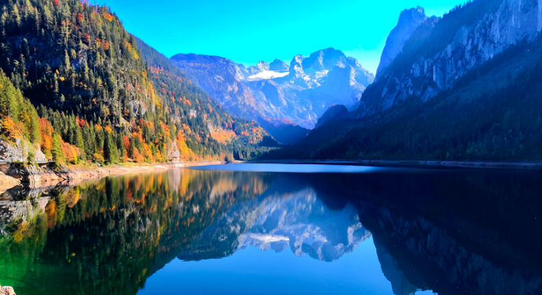 故乡小湖里的一对水鸟