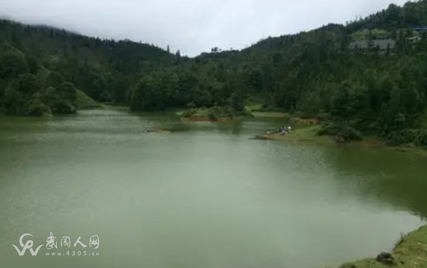 留恋在荷叶塘的日子