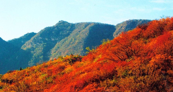 曾经的夙愿，已渐行渐远……