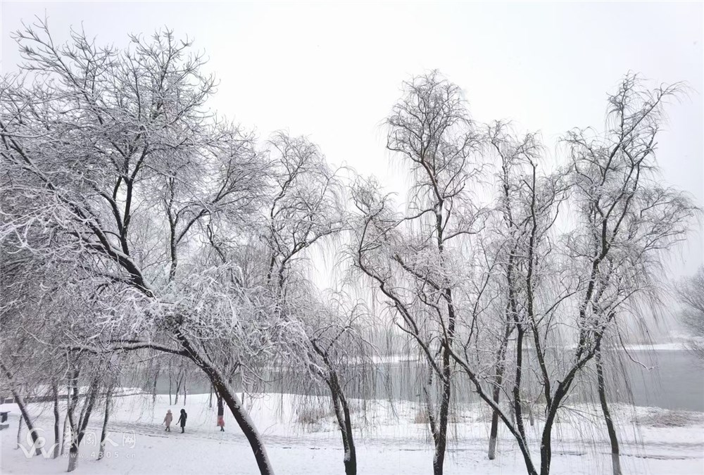 雪地童话