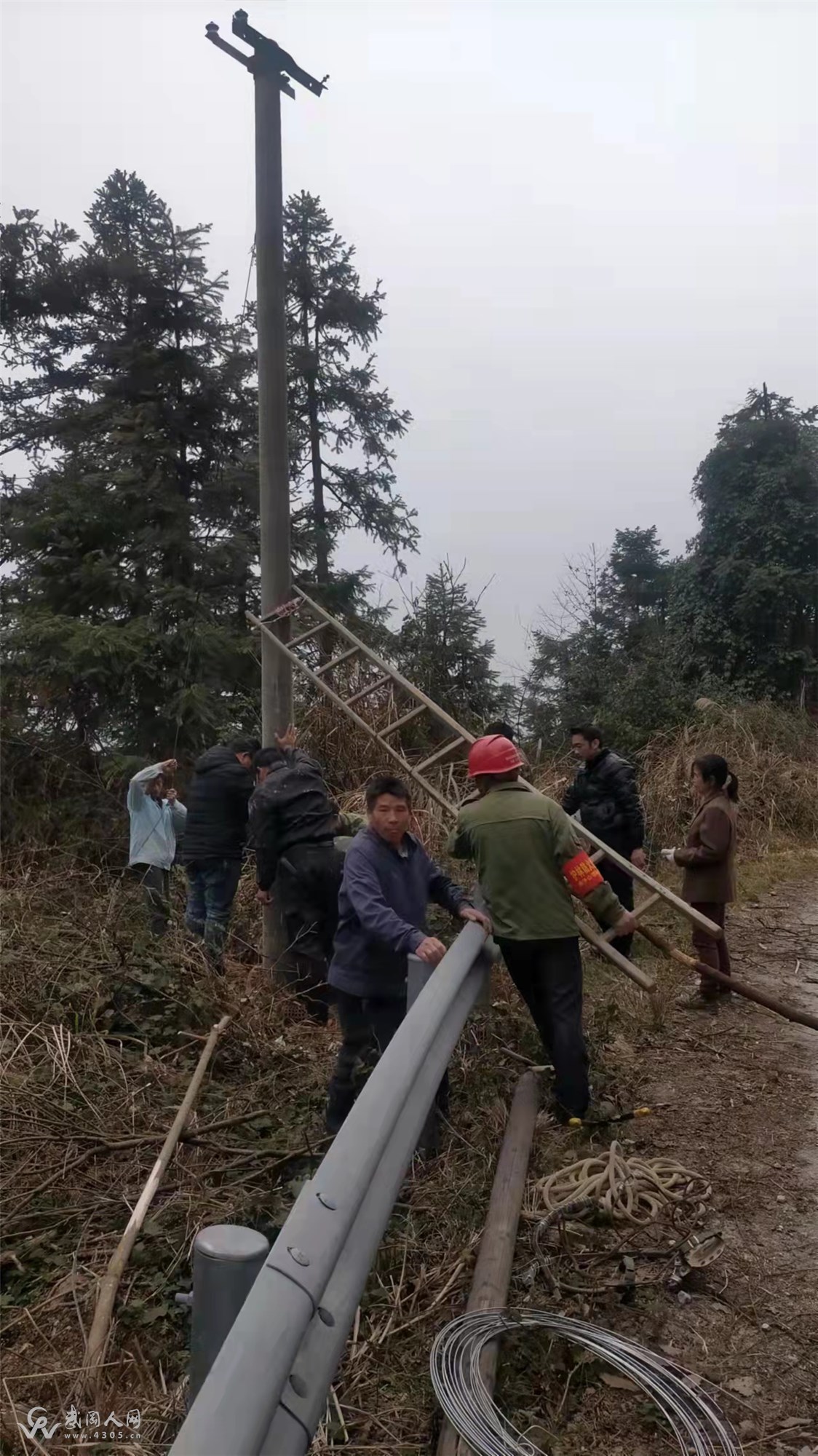 治好“白（雪）内障”，“夜明珠”更明