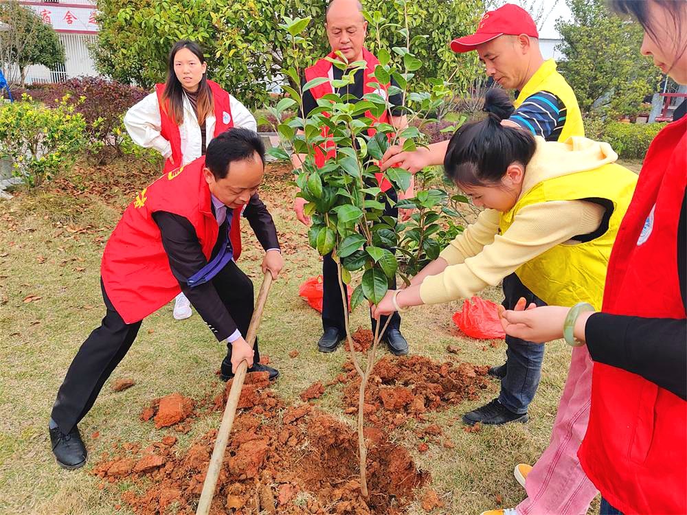 湾头桥镇中学开展美化校园植树活动