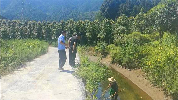 辕门口街道联合执法查处一起电鱼行为