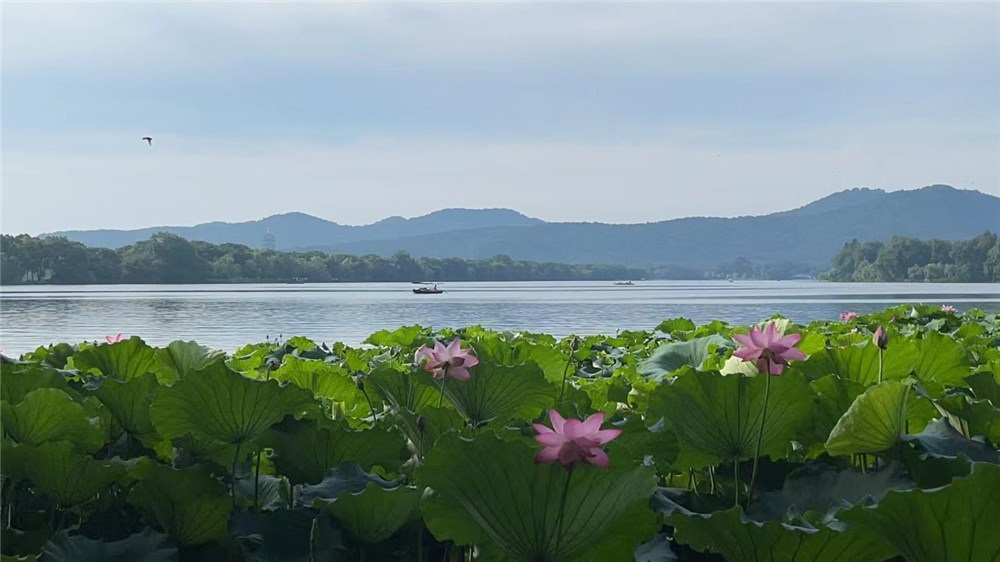 养生地