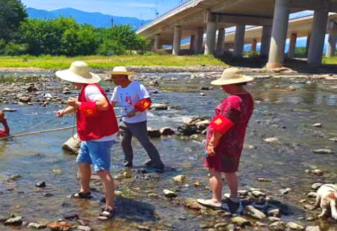 辕门口街道开展“清河净滩”守护碧水青山