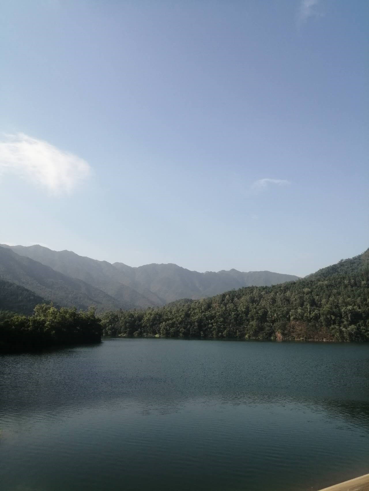 悠悠岁月，随风而逝