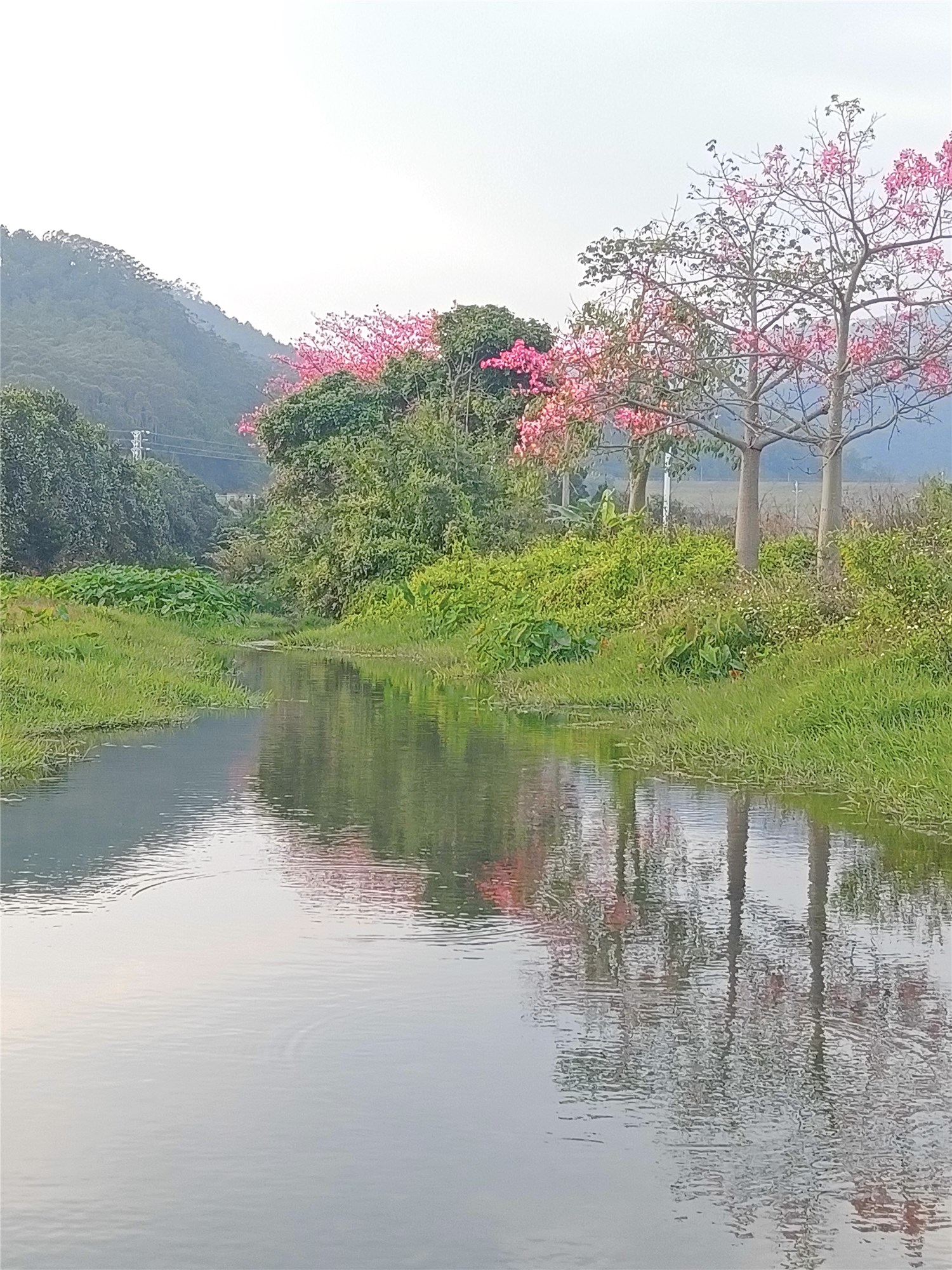 村居