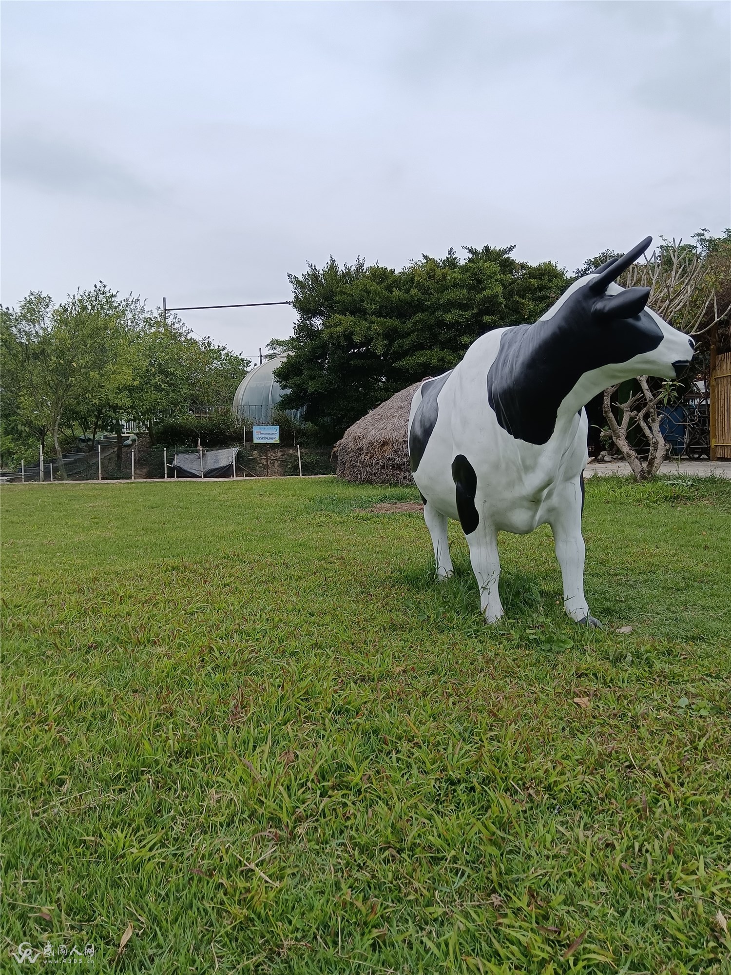 满庭芳·重游高蓢岛