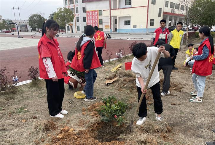 湾头桥镇中学：绿化校园操场 给孩子们一片绿色