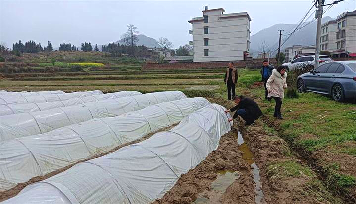 辕门口街道：扎实做好春耕生产 确保全面完成早稻生产任务