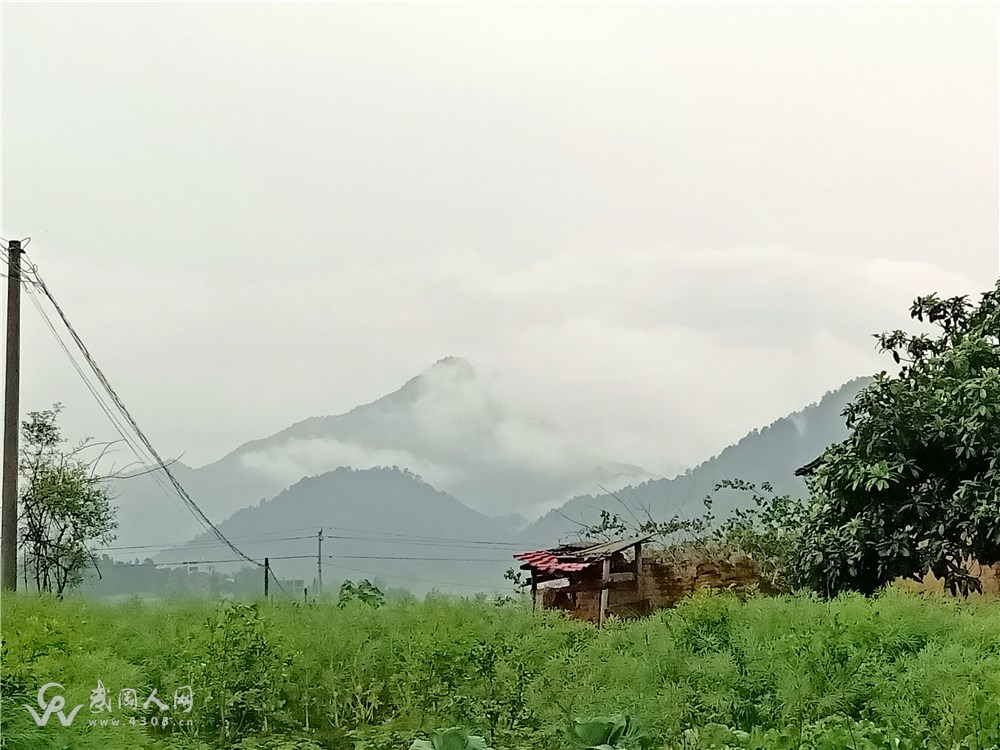 雨后李熙