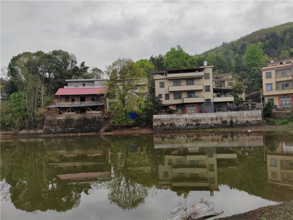 赞城管和城市执法