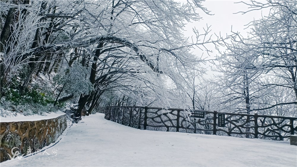 题初雪联