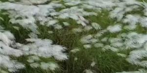 我害怕你跟我一样害怕