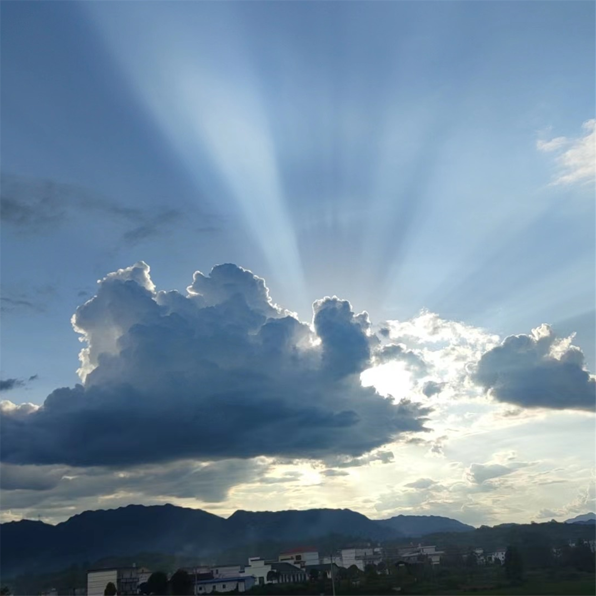 秋天等待一阵雨