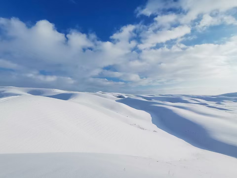 初雪