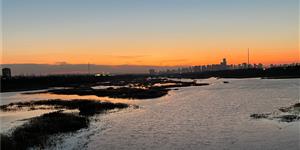 人人都有一片海