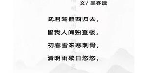 投票！  投票！邀请八十万武冈人民帮忙投票！