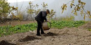 爷爷的那片土地