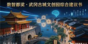 关于建设“数智都梁·武冈古城文创园”的综合建议书