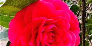 我记住了你青春奋斗的样子