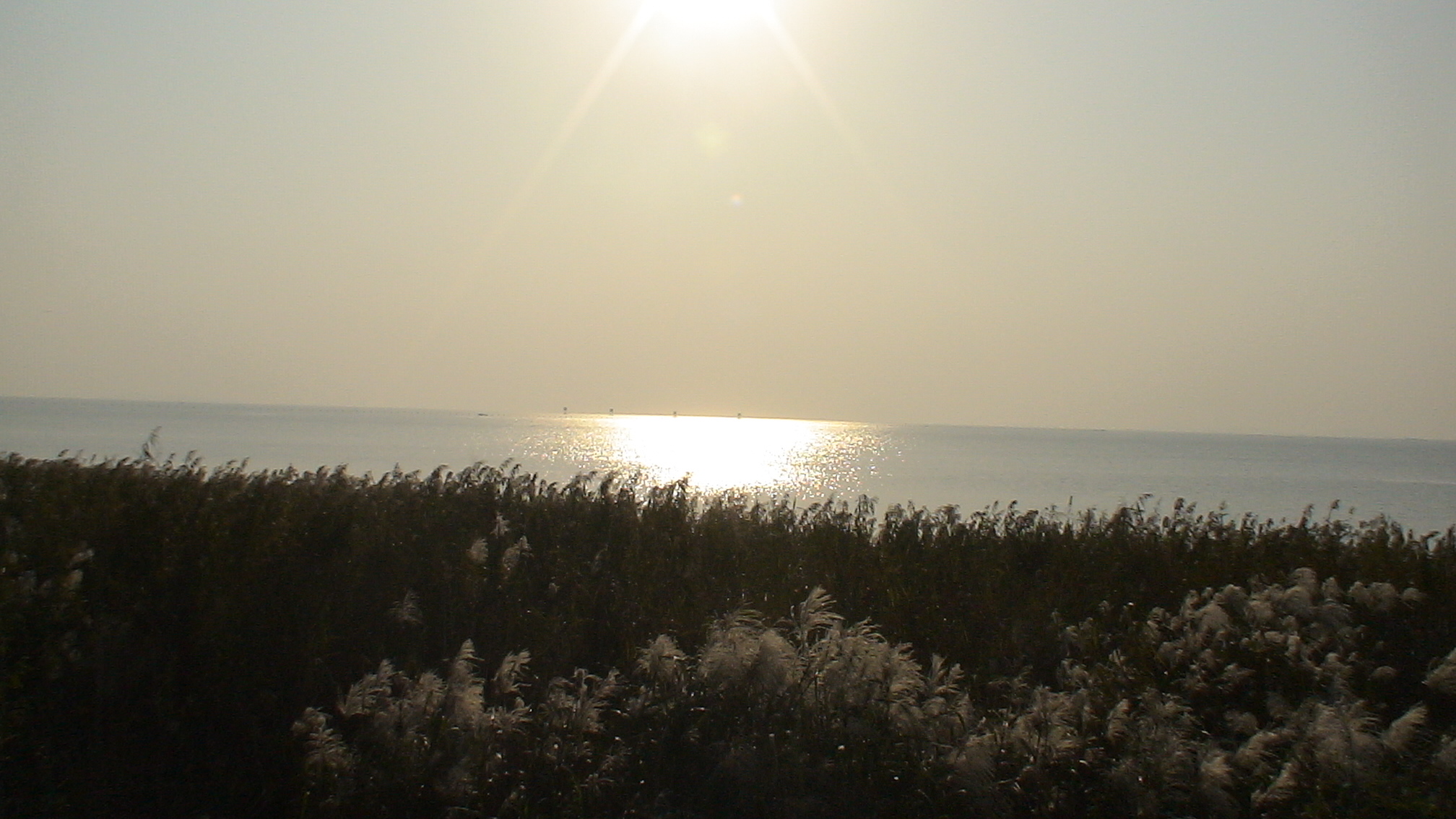 太湖水中的夕阳